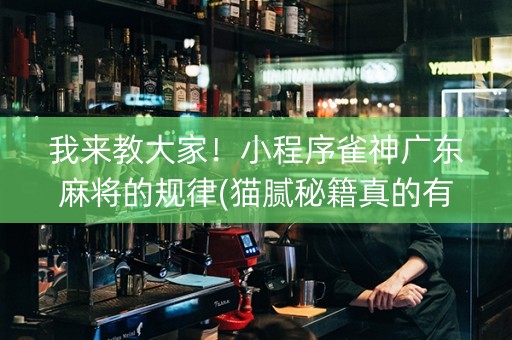 我来教大家！小程序雀神广东麻将的规律(猫腻秘籍真的有挂)