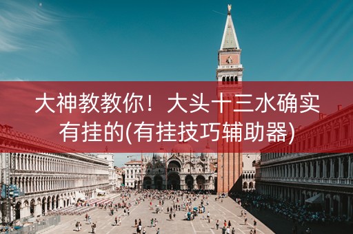 大神教教你！大头十三水确实有挂的(有挂技巧辅助器)