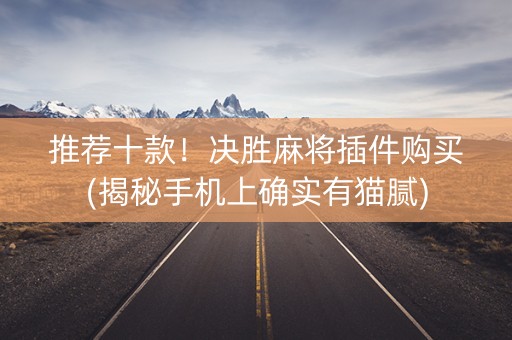 推荐十款！决胜麻将插件购买(揭秘手机上确实有猫腻)