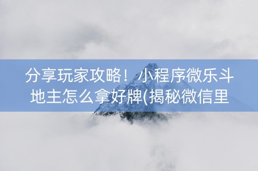 分享玩家攻略！小程序微乐斗地主怎么拿好牌(揭秘微信里如何让牌变好)