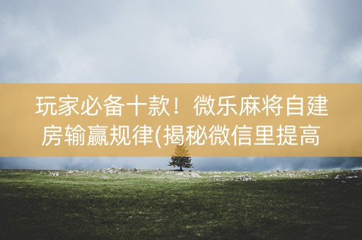 玩家必备十款！微乐麻将自建房输赢规律(揭秘微信里提高胜率)
