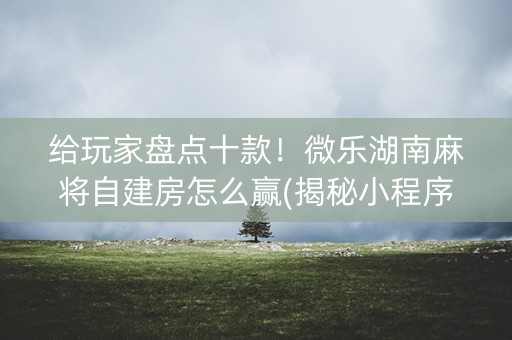 给玩家盘点十款！微乐湖南麻将自建房怎么赢(揭秘小程序赢牌技巧)