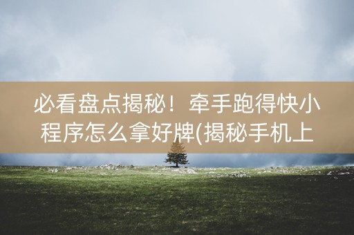 必看盘点揭秘！牵手跑得快小程序怎么拿好牌(揭秘手机上助赢软件)