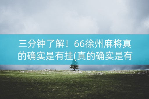 三分钟了解！66徐州麻将真的确实是有挂(真的确实是有挂)