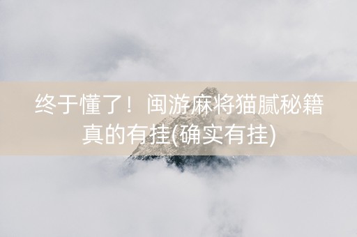 终于懂了！闽游麻将猫腻秘籍真的有挂(确实有挂)