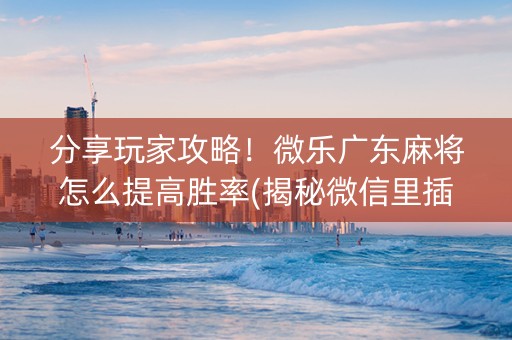 分享玩家攻略！微乐广东麻将怎么提高胜率(揭秘微信里插件下载)