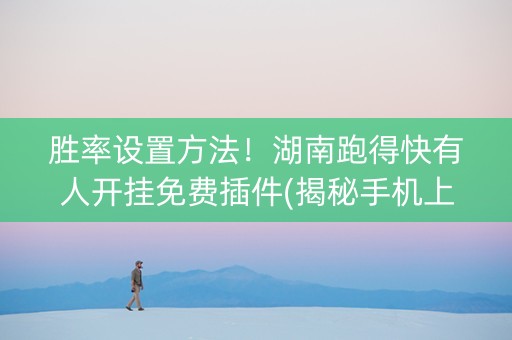 胜率设置方法！湖南跑得快有人开挂免费插件(揭秘手机上赢牌技巧)