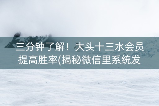 三分钟了解！大头十三水会员提高胜率(揭秘微信里系统发好牌)