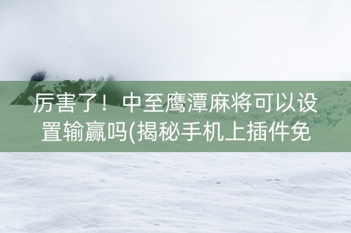 厉害了！中至鹰潭麻将可以设置输赢吗(揭秘手机上插件免费)