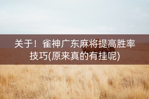 关于！雀神广东麻将提高胜率技巧(原来真的有挂呢)
