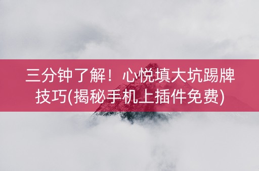 三分钟了解！心悦填大坑踢牌技巧(揭秘手机上插件免费)