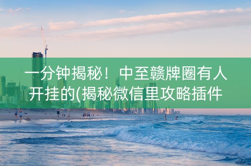 一分钟揭秘！中至赣牌圈有人开挂的(揭秘微信里攻略插件)
