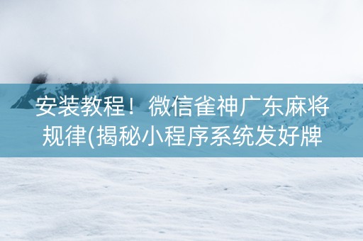 安装教程！微信雀神广东麻将规律(揭秘小程序系统发好牌)