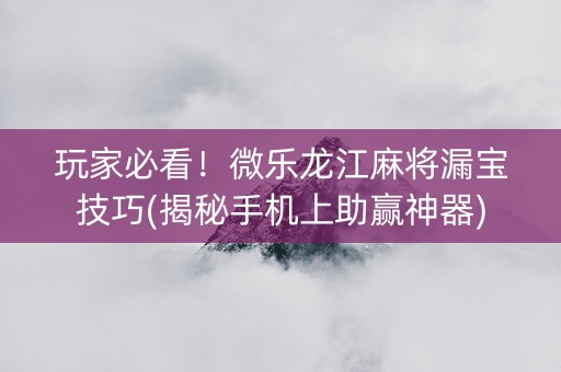 玩家必看！微乐龙江麻将漏宝技巧(揭秘手机上助赢神器)