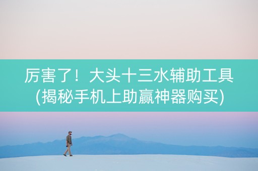 厉害了！大头十三水辅助工具(揭秘手机上助赢神器购买)