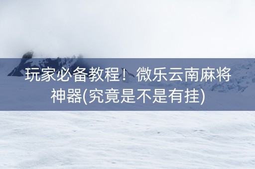 玩家必备教程！微乐云南麻将神器(究竟是不是有挂)