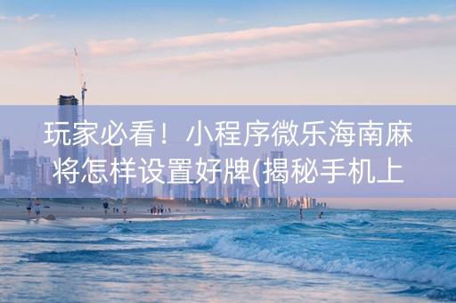 玩家必看！小程序微乐海南麻将怎样设置好牌(揭秘手机上助手软件)