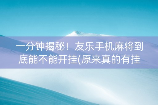 一分钟揭秘！友乐手机麻将到底能不能开挂(原来真的有挂)