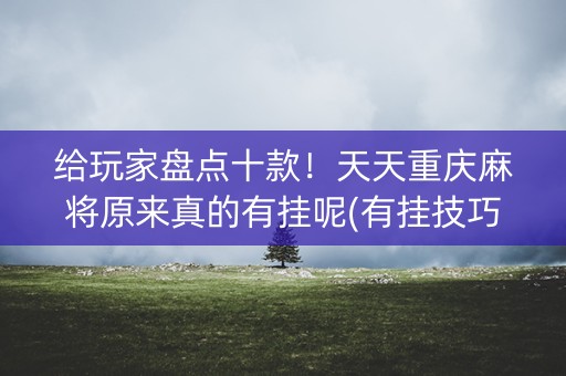 给玩家盘点十款！天天重庆麻将原来真的有挂呢(有挂技巧辅助器)