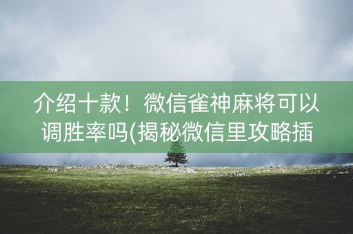 介绍十款！微信雀神麻将可以调胜率吗(揭秘微信里攻略插件)