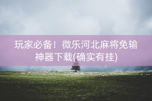 玩家必备！微乐河北麻将免输神器下载(确实有挂)