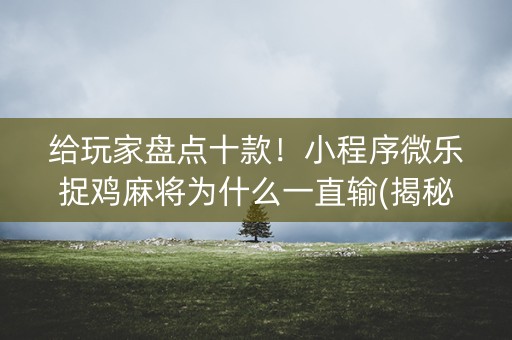 给玩家盘点十款！小程序微乐捉鸡麻将为什么一直输(揭秘小程序插件免费)
