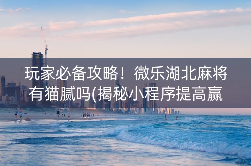 玩家必备攻略！微乐湖北麻将有猫腻吗(揭秘小程序提高赢的概率)