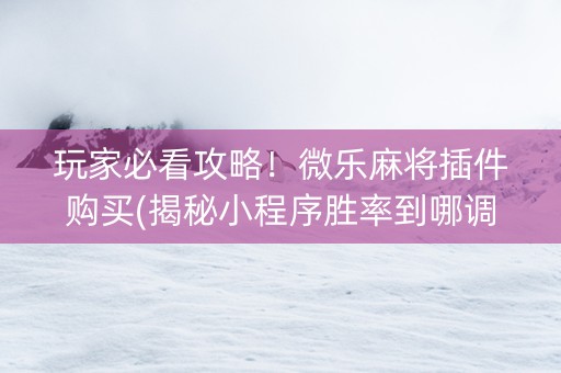 玩家必看攻略！微乐麻将插件购买(揭秘小程序胜率到哪调)