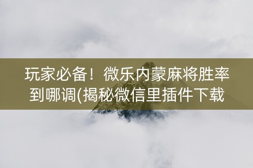 玩家必备！微乐内蒙麻将胜率到哪调(揭秘微信里插件下载)