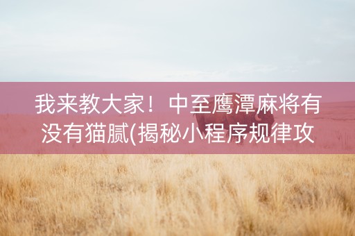 我来教大家！中至鹰潭麻将有没有猫腻(揭秘小程序规律攻略)