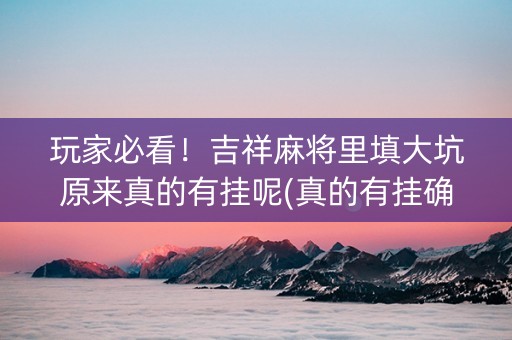玩家必看！吉祥麻将里填大坑原来真的有挂呢(真的有挂确实有挂)