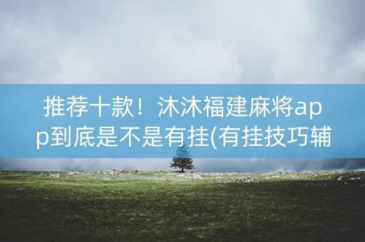 推荐十款！沐沐福建麻将app到底是不是有挂(有挂技巧辅助器)
