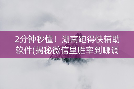 2分钟秒懂！湖南跑得快辅助软件(揭秘微信里胜率到哪调)