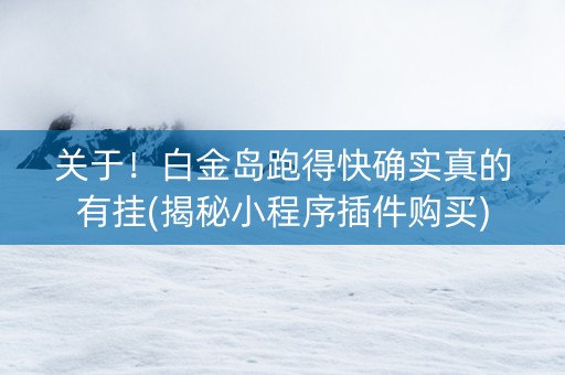 关于！白金岛跑得快确实真的有挂(揭秘小程序插件购买)