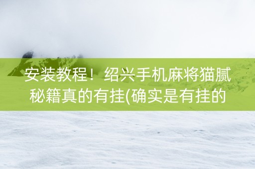 安装教程！绍兴手机麻将猫腻秘籍真的有挂(确实是有挂的)
