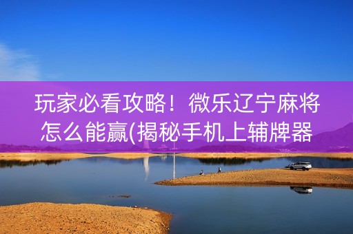玩家必看攻略！微乐辽宁麻将怎么能赢(揭秘手机上辅牌器)