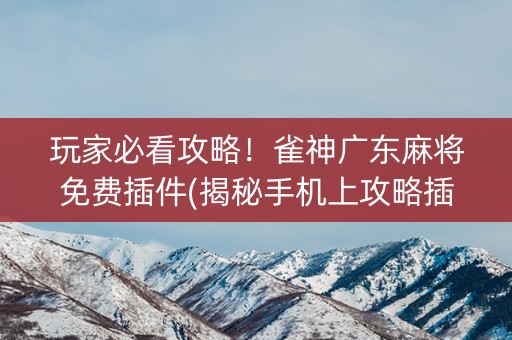 玩家必看攻略！雀神广东麻将免费插件(揭秘手机上攻略插件)