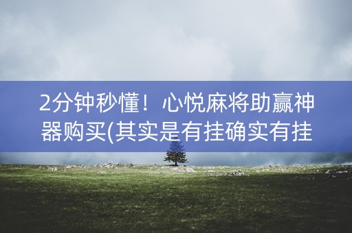 2分钟秒懂！心悦麻将助赢神器购买(其实是有挂确实有挂)