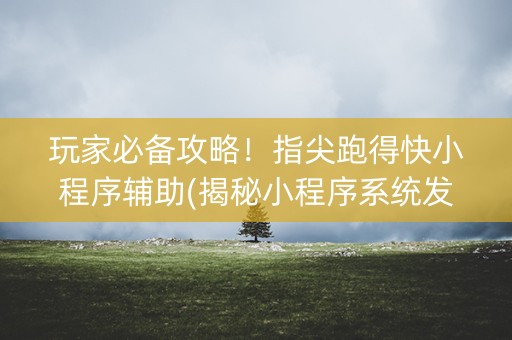 玩家必备攻略！指尖跑得快小程序辅助(揭秘小程序系统发好牌)