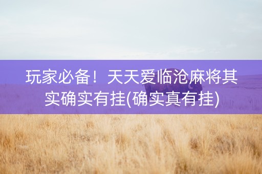 玩家必备！天天爱临沧麻将其实确实有挂(确实真有挂)
