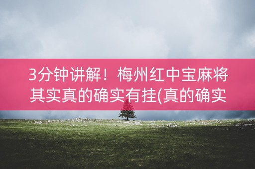 3分钟讲解！梅州红中宝麻将其实真的确实有挂(真的确实是有挂)