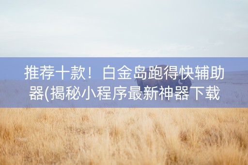 推荐十款！白金岛跑得快辅助器(揭秘小程序最新神器下载)