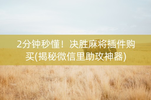 2分钟秒懂！决胜麻将插件购买(揭秘微信里助攻神器)