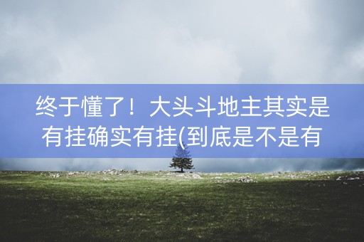 终于懂了！大头斗地主其实是有挂确实有挂(到底是不是有挂)