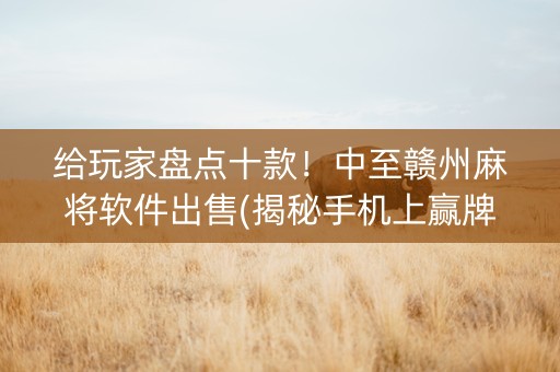 给玩家盘点十款！中至赣州麻将软件出售(揭秘手机上赢牌技巧)