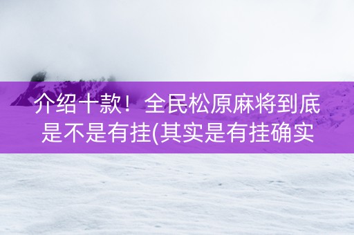 介绍十款！全民松原麻将到底是不是有挂(其实是有挂确实有挂)