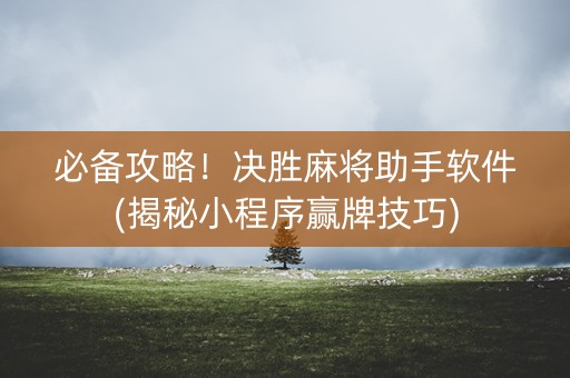 必备攻略！决胜麻将助手软件(揭秘小程序赢牌技巧)