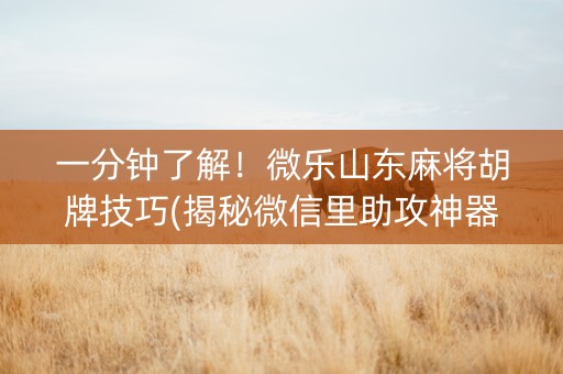 一分钟了解！微乐山东麻将胡牌技巧(揭秘微信里助攻神器)