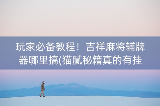 玩家必备教程！吉祥麻将辅牌器哪里搞(猫腻秘籍真的有挂)