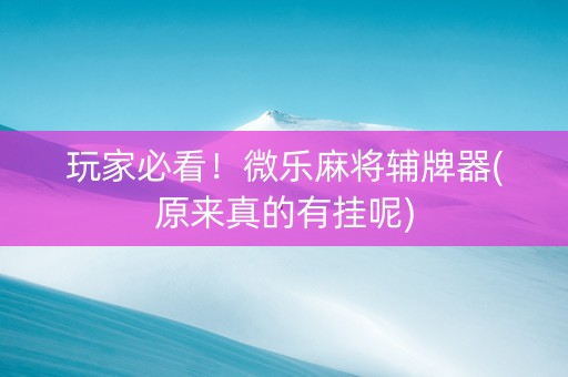 玩家必看！微乐麻将辅牌器(原来真的有挂呢)